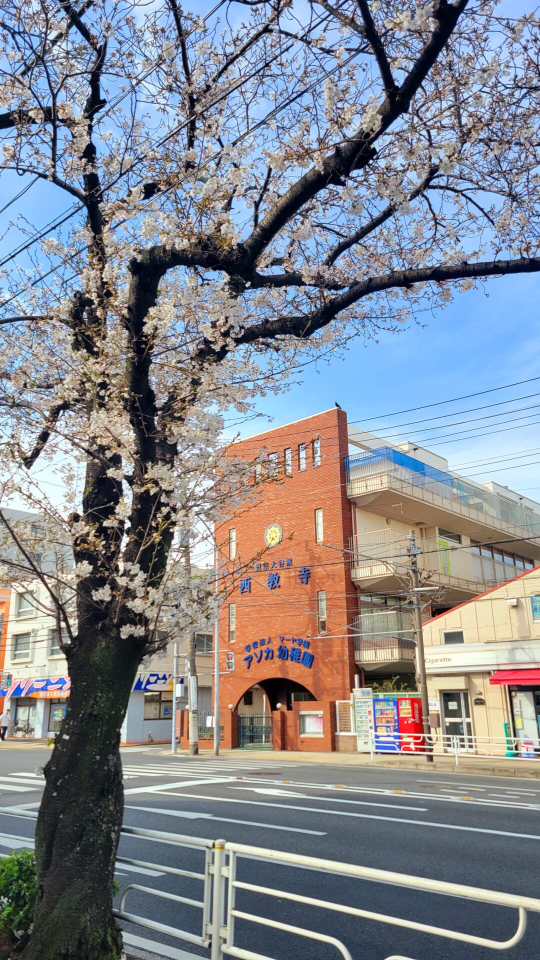 アソカ幼稚園の春の外観写真